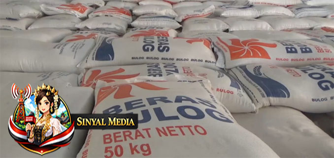 Bulog Gandeng BRIN Terapkan Teknologi Baru Cegah Beras Berkutu